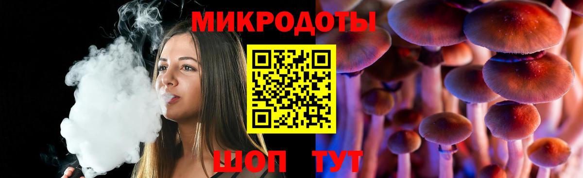Воронеж  Псилоцибиновые грибы прущие грибы  Вход с VPN  Псилоцибиновые грибы Psilocybe 